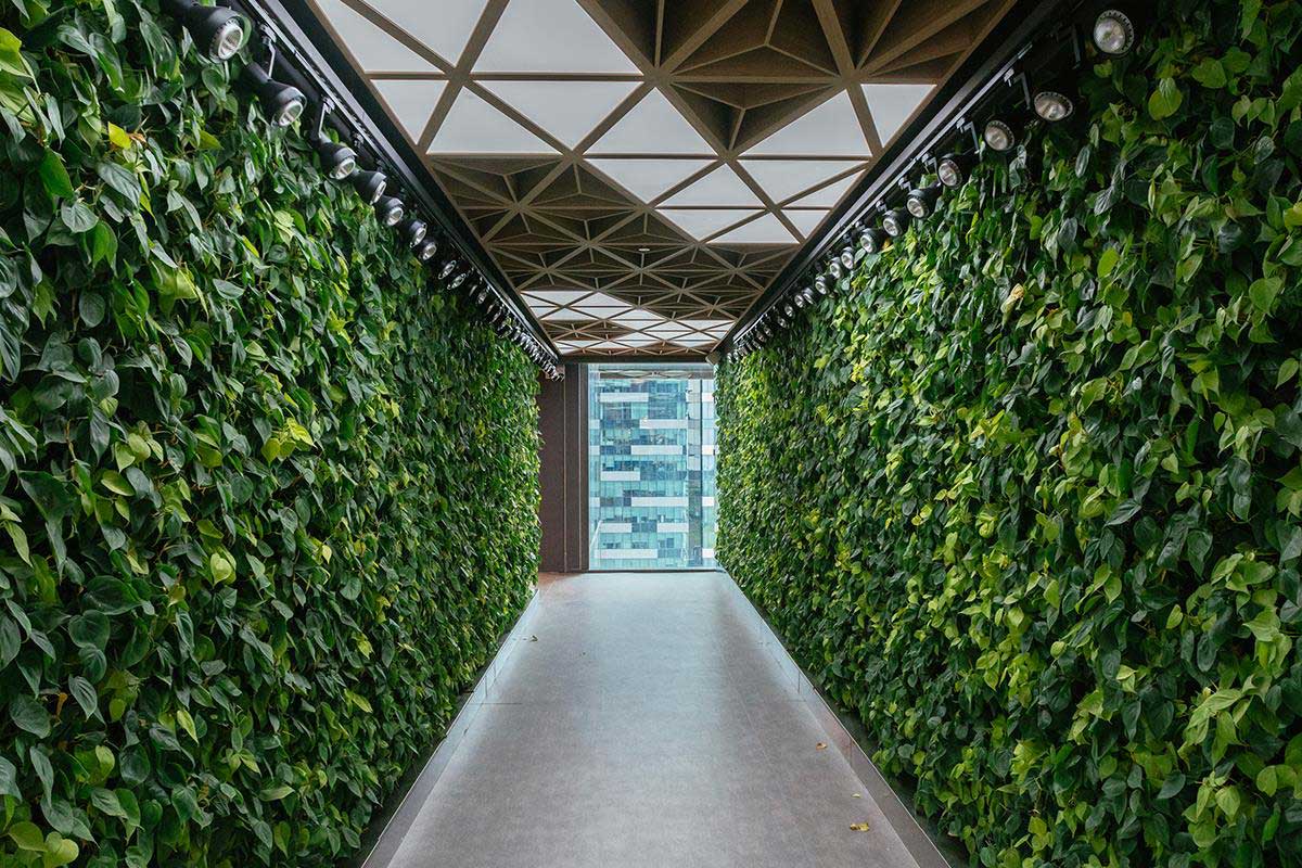 a-lush-green-tunnel-and-calming-water-passageway-makes-transiting-through-spaces-like-a-walk-in-a-park