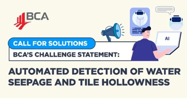 QCD BERII_Call for Solutions