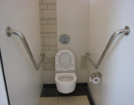 figure 3- example of grab bars in a bathroom