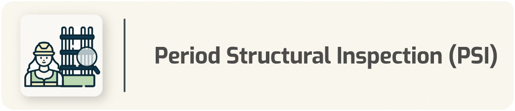 Period Structural Inspection (PSI)