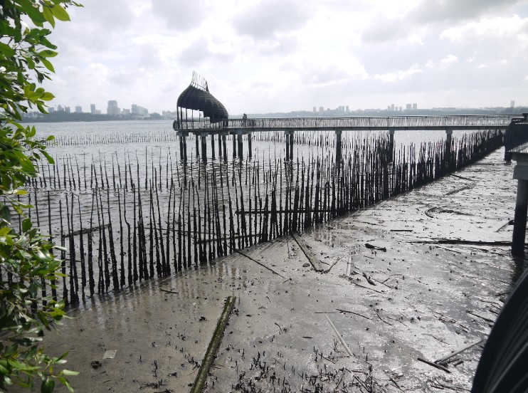 Sungei Buloh Wetland Reserve