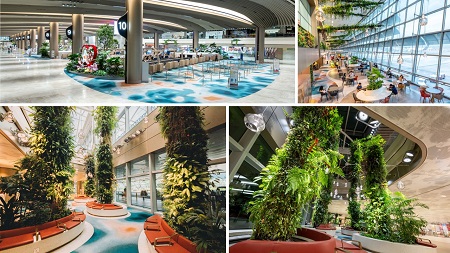 Collage of user-friendly features and spaces in Changi Terminal 2