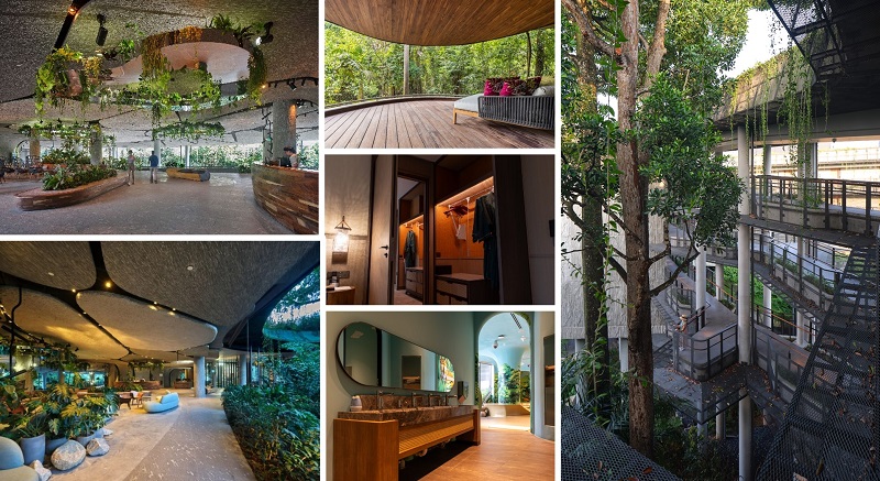 udea25_mandairesort_thumbs Collage of images of user-friendly features at Mandai Rainforest Resort