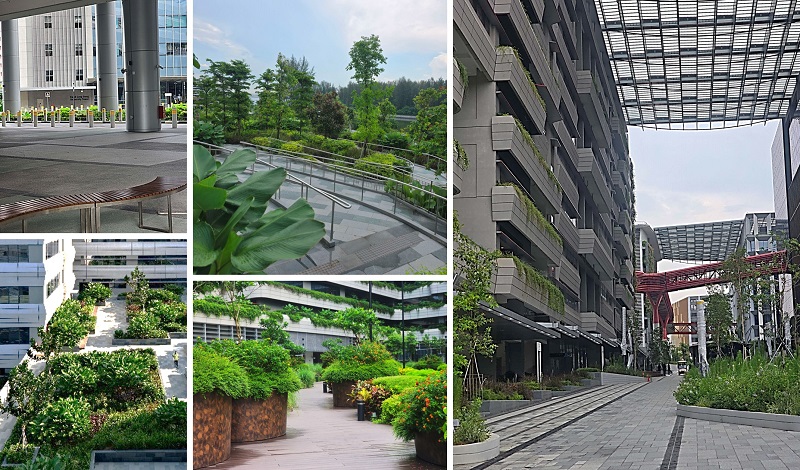 udea25_sitcampuscourt_thumbs Collage of images of user-friendly features at SIT Campus Court